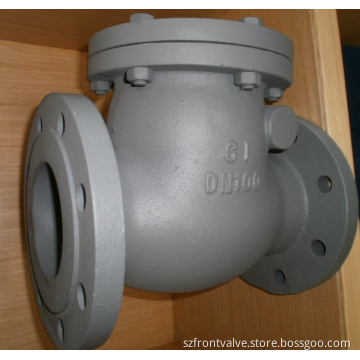 Cast Iron/Ductile Iron Flanged End Swing Check Valve